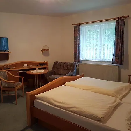 Land-gut-hotel Zur Lochmuehle 3* Penig