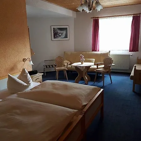 Land-gut-hotel Zur Lochmuhle 3* Penig