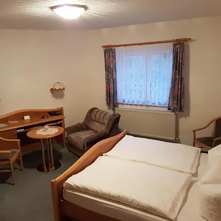 Land-gut-hotel Zur Lochmuehle 3* Penig